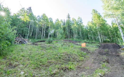 S 25 Garfield Street