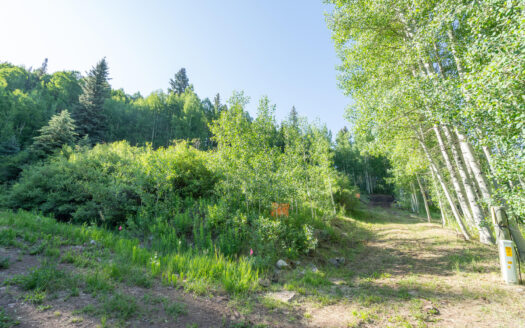 S 25 Garfield Street