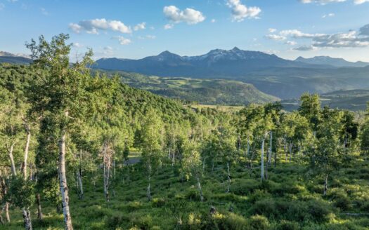 639 Sunnyside Ranch Drive