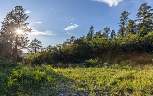 Lot 126 Green Meadows Lane