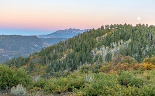 3450 Peninsula Drive