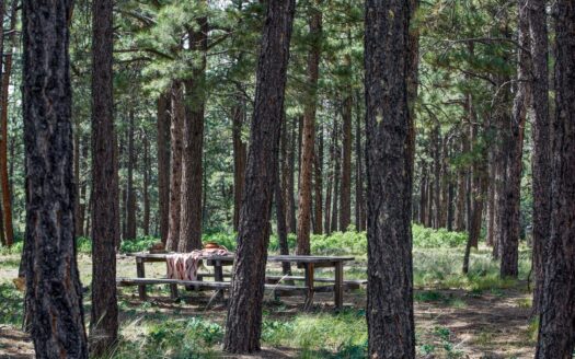 3450 Peninsula Drive