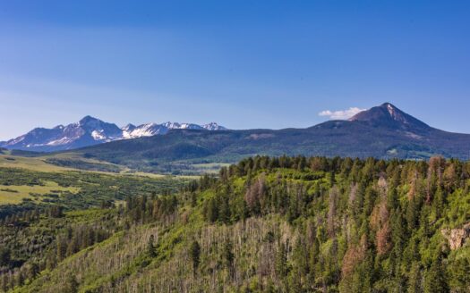 1776 Peninsula Drive