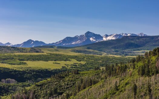 1776 Peninsula Drive