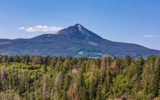 1776 Peninsula Drive