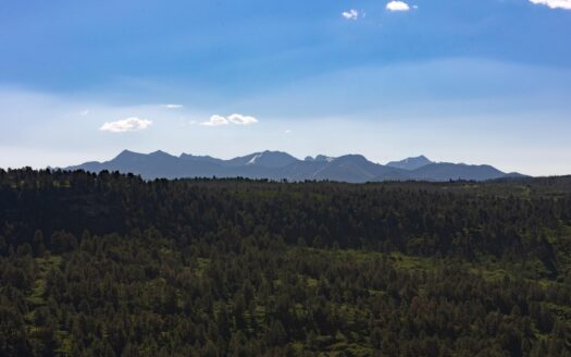 1776 Peninsula Drive