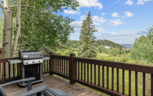 215 Double Eagle Drive C1