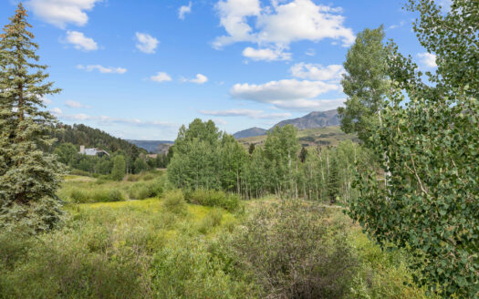 215 Double Eagle Drive C1