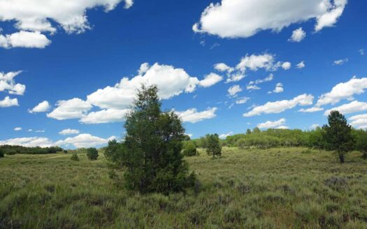 N TBD GURLEY LAKE Drive