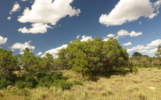 N TBD GURLEY LAKE Drive