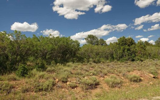 N TBD GURLEY LAKE Drive