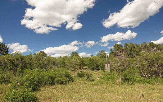 N TBD GURLEY LAKE Drive