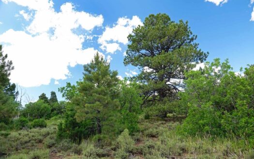 N TBD GURLEY LAKE Drive