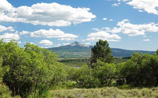 N TBD GURLEY LAKE Drive