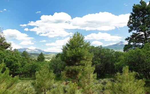 N TBD GURLEY LAKE Drive