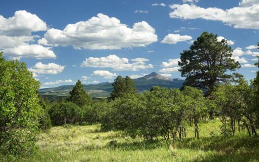 N TBD GURLEY LAKE Drive