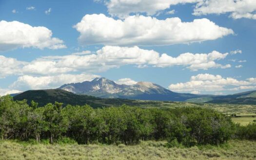 N TBD GURLEY LAKE Drive