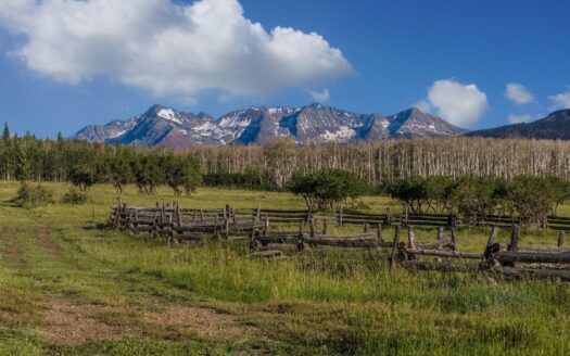 3289 Laughing Dog Road