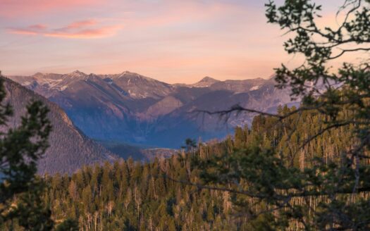 3289 Laughing Dog Road