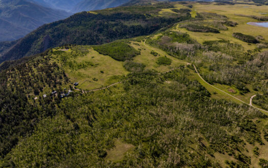 3289 Laughing Dog Road