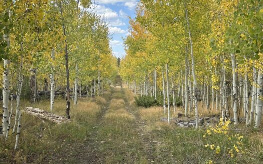 3289 Laughing Dog Road