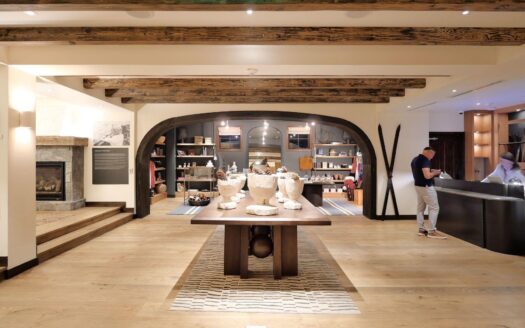 568 Mountain Village Boulevard 525/523