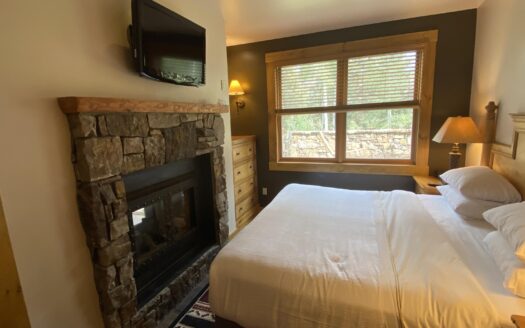 457 Mountain Village BLVD Boulevard 2014/2016