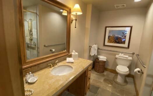 457 Mountain Village BLVD Boulevard 2014/2016