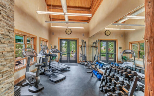 457 Mountain Village BLVD Boulevard 2014/2016