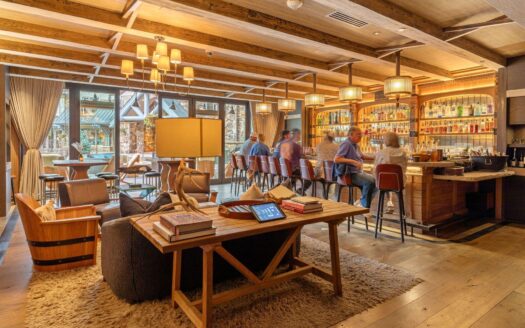 568 Mountain Village Boulevard 1306