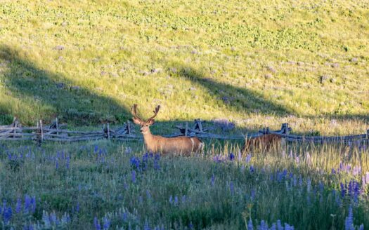 W 2045 Anderson Road