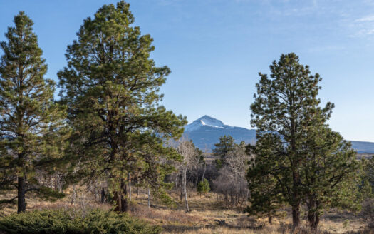 1001 Peninsula Drive