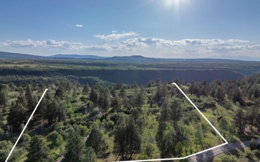 1001 Peninsula Drive