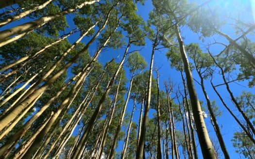 102 Christina’s Way