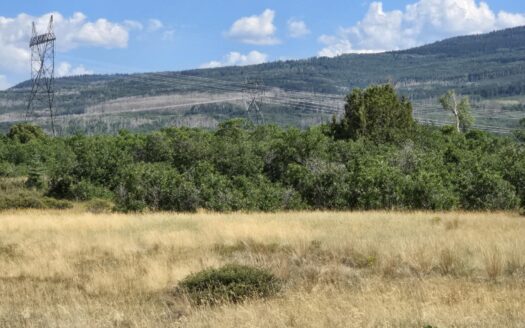 tbd Lone Cone Meadows Lane