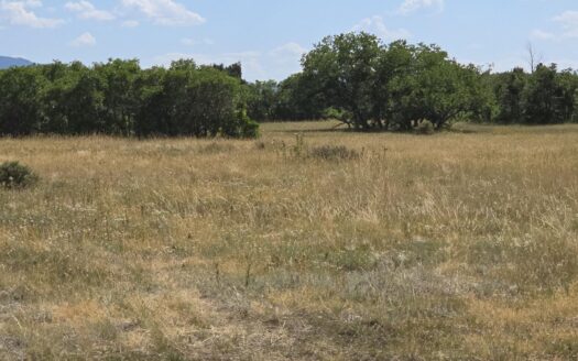 tbd Lone Cone Meadows Lane