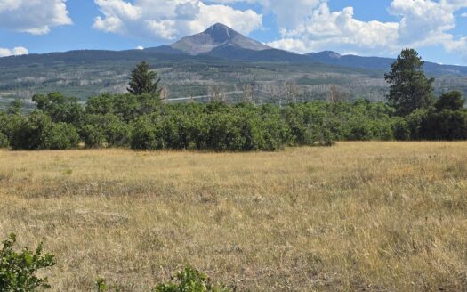 tbd Lone Cone Meadows Lane