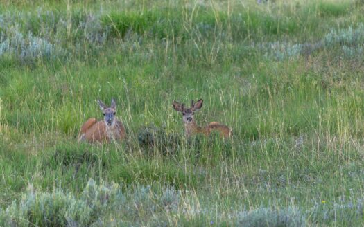 4234 Brown Ranch Road