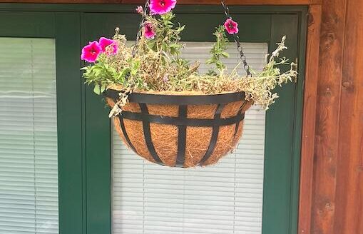 W 619 Columbia Avenue D101