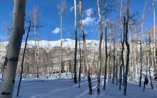 tbd Wapiti Road