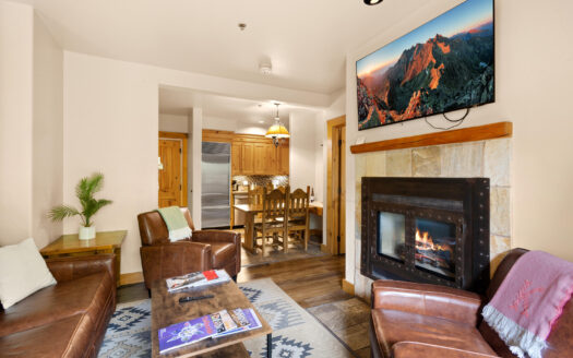 457 Mountain Village Boulevard 3007/3009