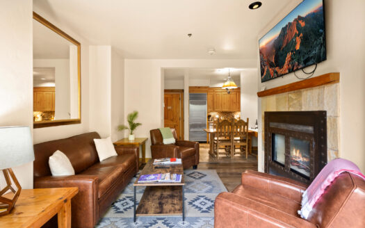 457 Mountain Village Boulevard 3007/3009