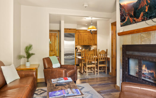 457 Mountain Village Boulevard 3007/3009