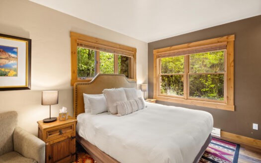 457 Mountain Village Boulevard 3007/3009