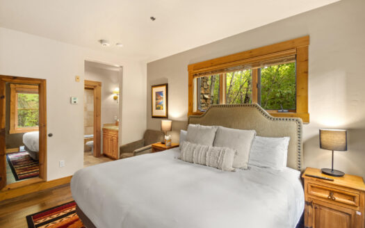 457 Mountain Village Boulevard 3007/3009