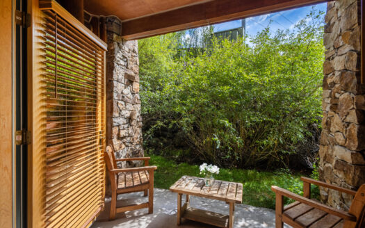 457 Mountain Village Boulevard 3007/3009