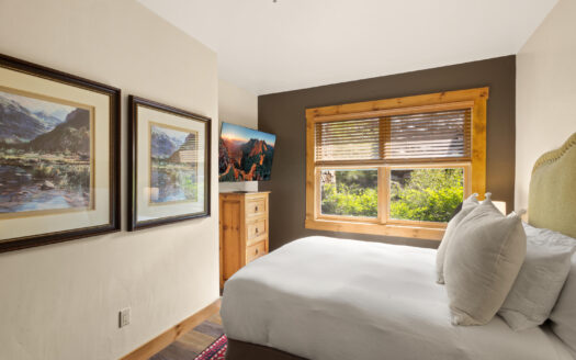 457 Mountain Village Boulevard 3007/3009