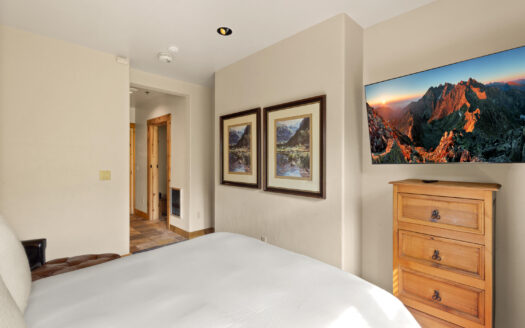 457 Mountain Village Boulevard 3007/3009