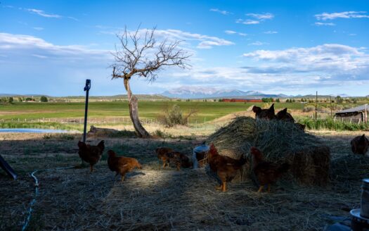 2122 County Road Y-43