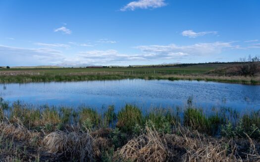 2122 County Road Y-43